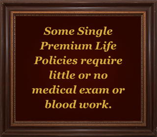 Single Premium Life Policy